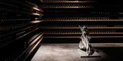 Le vin, l’investissement plaisir pour diversifier ses actifs